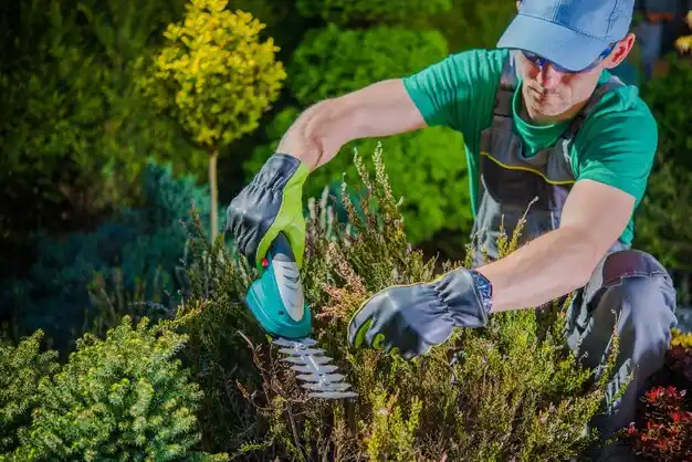 landscaping services Passamaquoddy Pleasant Point